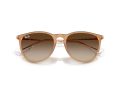 Ray-Ban Erika RB 4171 681413 54 Women sunglasses
