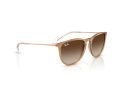Ray-Ban Erika RB 4171 681413 54 Women sunglasses