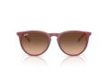 Ray-Ban Erika RB 4171 6815A5 54 Women sunglasses