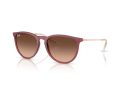 Ray-Ban Erika RB 4171 6815A5 54 Women sunglasses