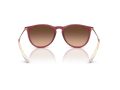Ray-Ban Erika RB 4171 6815A5 54 Women sunglasses
