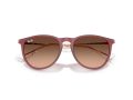 Ray-Ban Erika RB 4171 6815A5 54 Women sunglasses