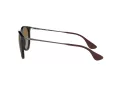 Ray-Ban Erika RB 4171 710/T5 54 Women sunglasses