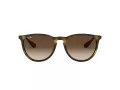 Ray-Ban Erika RB 4171 865/13 54 Women sunglasses