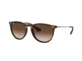 Ray-Ban Erika RB 4171 865/13 54 Women sunglasses
