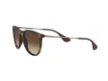 Ray-Ban Erika RB 4171 865/13 54 Women sunglasses