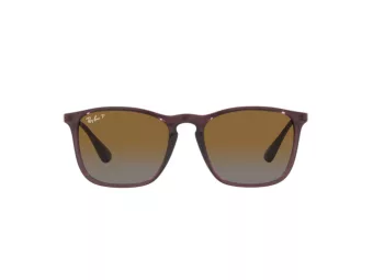 Ray-Ban Chris RB 4187 6593/T5 54 Men sunglasses