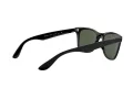 Ray-Ban Wayfarer Liteforce RB 4195 601/71 52 Men sunglasses