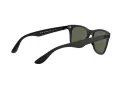 Ray-Ban Wayfarer Liteforce RB 4195 601S/9A 52 Men sunglasses
