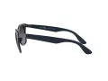 Ray-Ban Wayfarer Liteforce RB 4195 6331/8G 52 Men sunglasses