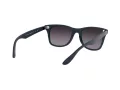 Ray-Ban Wayfarer Liteforce RB 4195 6331/8G 52 Men sunglasses