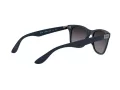 Ray-Ban Wayfarer Liteforce RB 4195 6331/8G 52 Men sunglasses