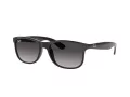 Ray-Ban Andy RB 4202 601/8G 55 Men sunglasses