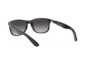 Ray-Ban Andy RB 4202 601/8G 55 Men sunglasses
