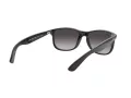 Ray-Ban Andy RB 4202 601/8G 55 Men sunglasses