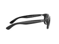 Ray-Ban Andy RB 4202 601/8G 55 Men sunglasses