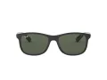 Ray-Ban Andy RB 4202 606971 55 Men sunglasses