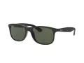 Ray-Ban Andy RB 4202 606971 55 Men sunglasses