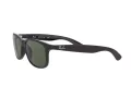 Ray-Ban Andy RB 4202 606971 55 Men sunglasses