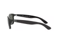 Ray-Ban Andy RB 4202 606971 55 Men sunglasses
