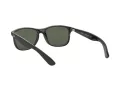 Ray-Ban Andy RB 4202 606971 55 Men sunglasses