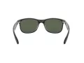 Ray-Ban Andy RB 4202 606971 55 Men sunglasses