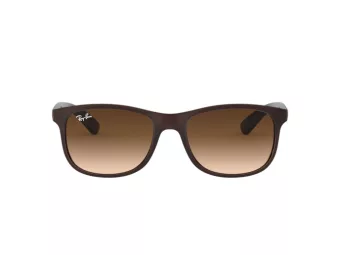 Ray-Ban Andy RB 4202 6073/13 55 Men sunglasses
