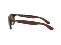Ray-Ban Andy RB 4202 6073/13 55 Men sunglasses