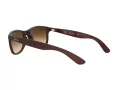 Ray-Ban Andy RB 4202 6073/13 55 Men sunglasses