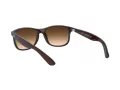 Ray-Ban Andy RB 4202 6073/13 55 Men sunglasses