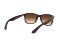 Ray-Ban Andy RB 4202 6073/13 55 Men sunglasses