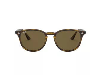 Ray-Ban RB 4259 710/73 51 Men, Women sunglasses