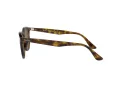 Ray-Ban RB 4259 710/73 51 Men, Women sunglasses