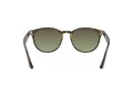 Ray-Ban RB 4259 731/E8 51 Men, Women sunglasses
