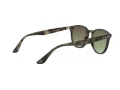 Ray-Ban RB 4259 731/E8 51 Men, Women sunglasses