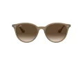 Ray-Ban RB 4305 616613 53 Men, Women sunglasses