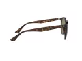 Ray-Ban RB 4305 710/73 53 Men, Women sunglasses