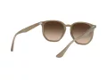 Ray-Ban RB 4306 616613 54 Men, Women sunglasses