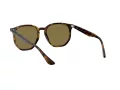 Ray-Ban RB 4306 710/73 54 Men, Women sunglasses