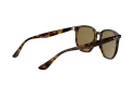 Ray-Ban RB 4306 710/73 54 Men, Women sunglasses