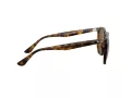Ray-Ban RB 4306 710/83 54 Men, Women sunglasses