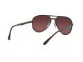 Ray-Ban RB 4320/CH 710/6B 58 Men, Women sunglasses