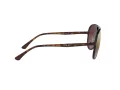 Ray-Ban RB 4320/CH 710/6B 58 Men, Women sunglasses