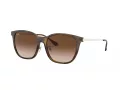 Ray-Ban RB 4333D 710/13 55 Men, Women sunglasses