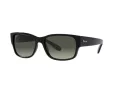 Ray-Ban RB 4388 601/71 58 Men, Women sunglasses
