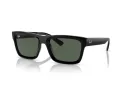 Ray-Ban Warren RB 4396 667771 54 Men, Women sunglasses