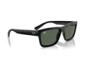 Ray-Ban Warren RB 4396 667771 54 Men, Women sunglasses