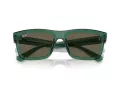 Ray-Ban Warren RB 4396 6681/3 54 Men, Women sunglasses