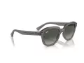 Ray-Ban Erik RB 0RB4398 667571 53 Men, Women sunglasses