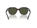 Ray-Ban Erik RB 0RB4398 902/31 51 Men, Women sunglasses
